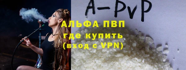 ECSTASY Богородицк