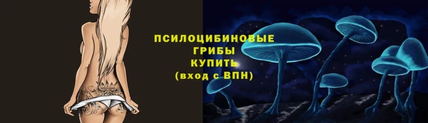 спиды Богородск