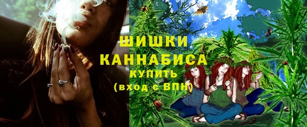 ECSTASY Богородицк