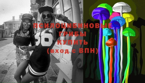 таблы Богданович