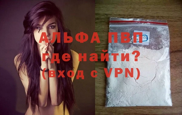 спиды Богородск