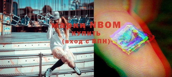ECSTASY Богородицк