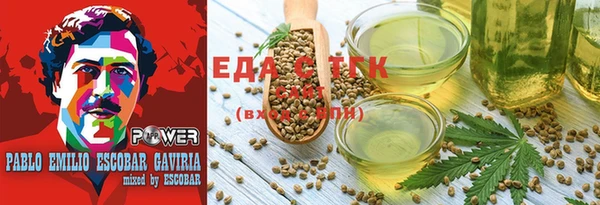 ECSTASY Богородицк